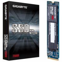 Gigabyte 256GB NVMe M.2 Internal Solid State Drive